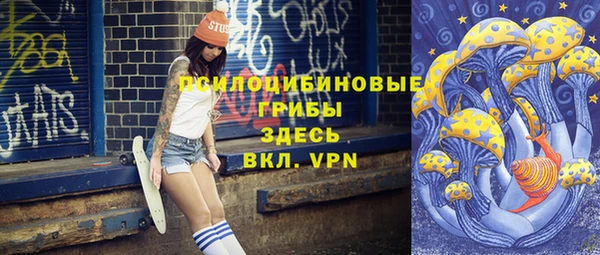 apvp Армянск