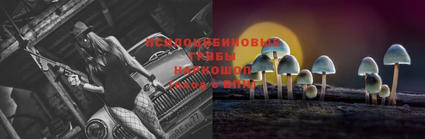 apvp Армянск